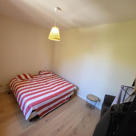 טורנון-סור-רון Grande Maison Meublee Tout Equipe Wifi, Tele, Billard - Demeure De 196 M2 A Tain L'Hermitage - 5 Chambres - 17 Couchages מראה חיצוני תמונה