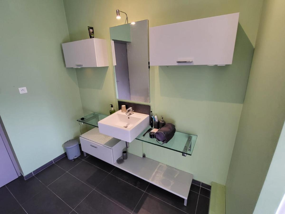 טורנון-סור-רון Grande Maison Meublee Tout Equipe Wifi, Tele, Billard - Demeure De 196 M2 A Tain L'Hermitage - 5 Chambres - 17 Couchages מראה חיצוני תמונה