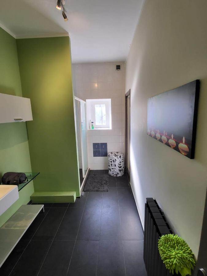 טורנון-סור-רון Grande Maison Meublee Tout Equipe Wifi, Tele, Billard - Demeure De 196 M2 A Tain L'Hermitage - 5 Chambres - 17 Couchages מראה חיצוני תמונה